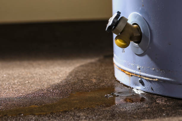 Best 24/7 water damage repair  in Clover, SC