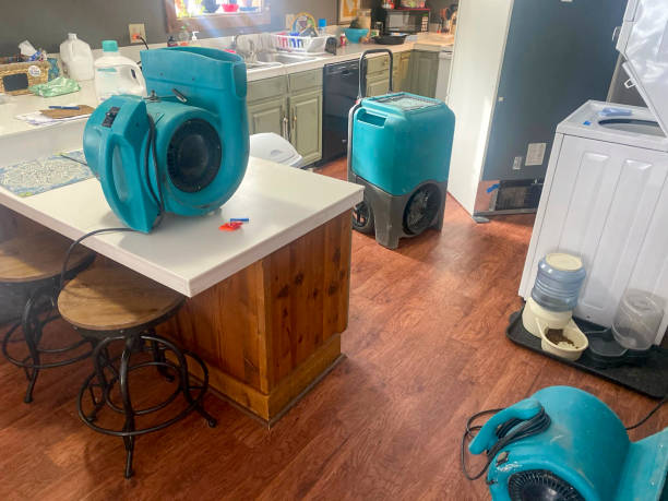 Best Ceiling water damage repair  in Clover, SC
