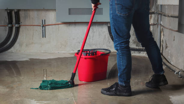 Best Carpet water damage restoration  in Clover, SC