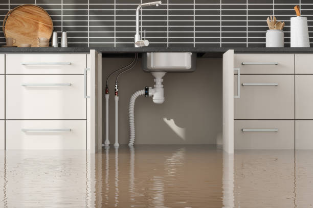 Best Ceiling water damage repair  in Clover, SC